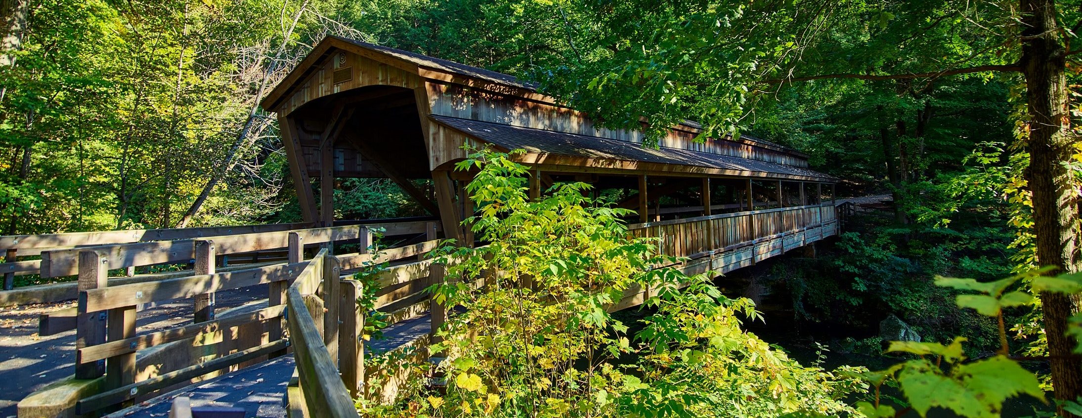 Explore hidden attractions in Hocking Hills, Ohio like a bridge trail.