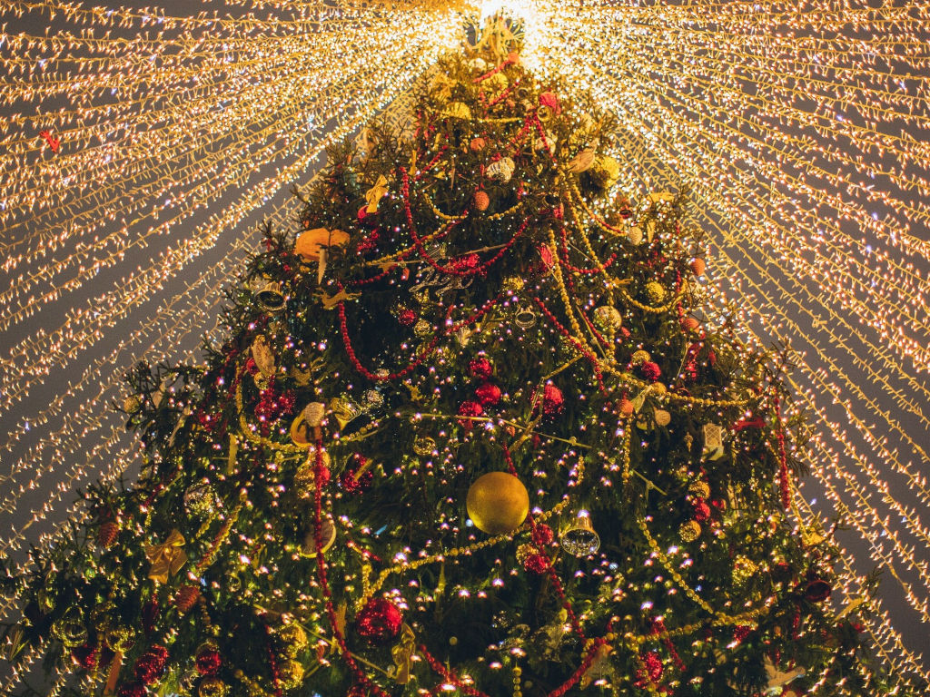 Free Night Christmas-NYE